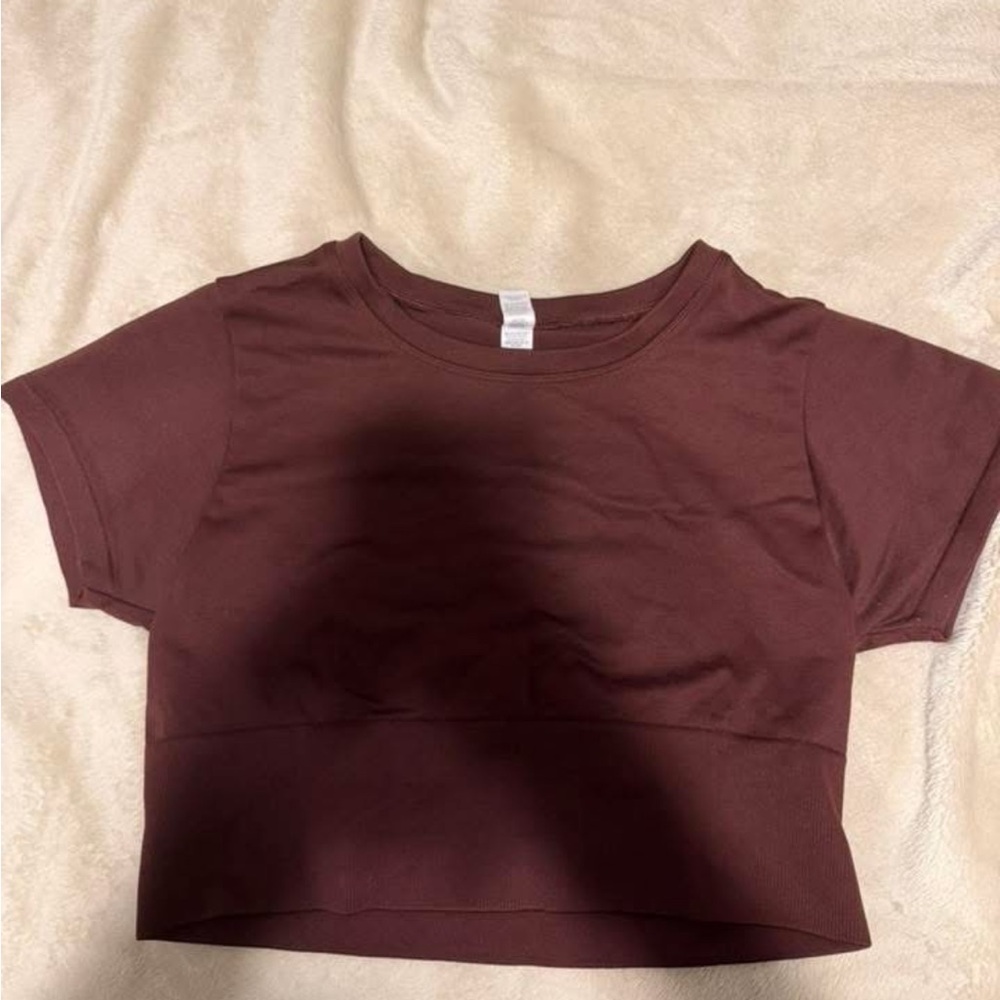 American Eagle Outfitters Brown Crop Top